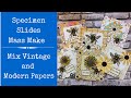 Bee Book Ring Junk Journal | Specimen Slides | Step by Step | Mass Make