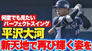 【新天地で再び輝く】平沢大河『勝負強さ感じるタイムリー！何度でも見たいパーフェクトスイング！』