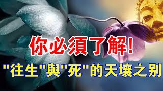 “往生”就是死嗎？學佛人必須明白，“往生”與“死”之間的天壤之別！