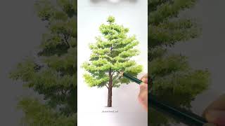 색연필 풍경화 드로잉 나무 그리기 coloredpencil landscape tree/by별나라 #tree#landscape#coloredpencil#풍경화#드로잉#색연필