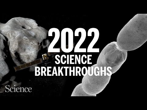 The biggest scientific advances in 2022