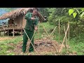 Full VIDEO 7 Days of Farming And Gardening Growing Vegetables Alone Surviving In The Wild Forest
