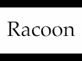 How to Pronounce Racoon