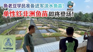 【魚老豆】學員進軍淡水魚苗市場 準備提供高品質單性紅非洲魚苗！