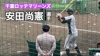 宮本慎也が見守る中、フリーバッティングをする安田尚憲 千葉ロッテマリーンズ 春季キャンプ