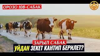 УЙДАН ЗЕКЕТ КАНТИП БЕРИЛЕТ. ОРОЗО 108-сабак. Шейх Чубак ажы