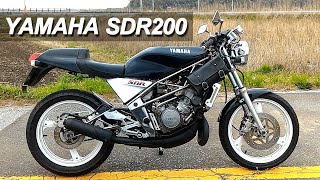 ★1986　YAMAHA　SDR200 (2TV )　ヤマハ　※走行映像無し　2-stroke　2スト