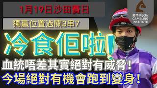 【賽馬貼士】1月19日 獨贏位置過關3串7｜冷食佢啦！｜血統唔差其實絕對有威脅！今場絕對有機會跑到變身！