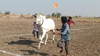 తలపనూరు 6పల్ల విబాగం, కోర్ట్ ప్రాంగణం, మరియూ బండ