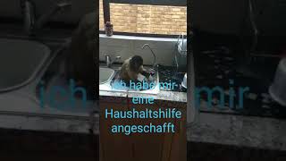 Meine Haushaltshilfe