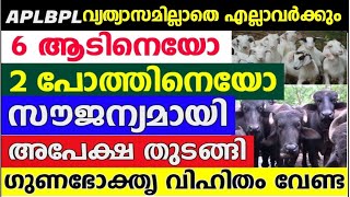 APLBPL വ്യത്യാസമില്ലാതെ എല്ലാവർക്കും സൗജന്യമായി പോത്ത് ആട് കുട്ടികളെ ലഭിക്കും, അപേക്ഷ ക്ഷണിച്ചു