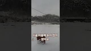 시골 마을에 눈이 많이 왔어요 펑펑~~~