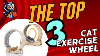 🐱🌀 Top 3 Cat Exercise Wheels for Happy and Healthy Kitties! 🏃‍♂️