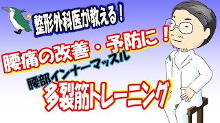 【整形外科医が教える！】腰の痛みの改善や予防に！　腰部インナーマッスル多裂筋トレーニング