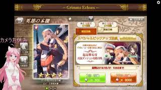 グリムエコーズ「高難易度ダンジョンの様子見」Grimms Echoes