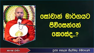 සෝවාන් මාර්ගයට පිවිසෙන්නේ කෙසේද..? (Ven.Hasalaka seelavimala thero) Sangha Dhara - සංඝ ධාරා