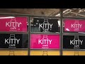 Kitty Cafe Vlog - Kate and the Kitty Cafe Family Round up of 2019 !