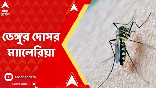 Dengue: একইসঙ্গে শরীরে মিলছে ডেঙ্গু এবং ম্যালেরিয়ার উপসর্গ! বাড়ছে মশাবাহিত রোগের প্রকোপ