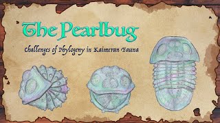 The Pearlbug: Challenges of Phylogeny in Kaimeran Fauna