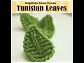 HodgePodge Crochet Presents Tunisian Leaves