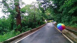 花蓮雨天玩法-來場雨中冒險-感受雨天才有的限定美景-親子景點超低的市區山公園健行步道How to play on rainy days in Hualien, Taiwan