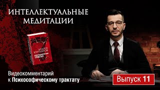 Интеллектуальные медитации. Видеокомментарий к Психософическому трактату: выпуск 11