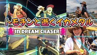 🎣トモチンと逝くイカメタル🦑　INドリームチェイサー🚢