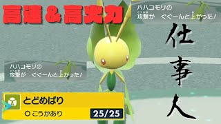 「とどめばり」ですべてのポケモンを救済していく『ハハコモリ』【ポケモンSV】