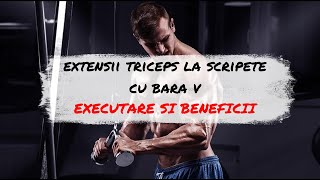 Extensii triceps la scripete cu bara V: Mod de executare si Beneficii - BODY365 FBN