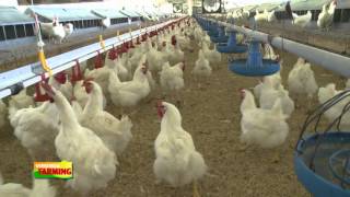 VDACS' Dr. Broaddus- Poultry Biosecurity