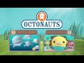 octonauts creature reports seahorse