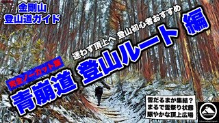 ［青崩道登山ルート］金剛山ガイド｜まるで雪祭りの頂上広場！迷わない初心者登山道 YT-108