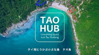 TAOHUBプロモーションビデオ コワーキング タイ タオ島