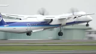 熊本空港 ANA WINGS DHC-8-400 JA465A