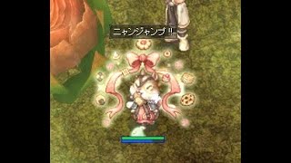 【RO】日課MD【B鯖】