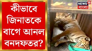 Tiger Zeenat News : কীভাবে জিনাতকে বাগে আনল বনদফতর? বাঘ বন্দির EXCLUSIVE Video News18 বাংলায়