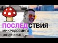 Полтора года микродозинга. Как мухомор меняет мышление?