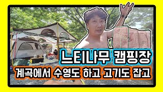 [요즘아빠222_리뷰]계곡이 있는 캠핑장 강원도 영월 느티나무 캠핑장