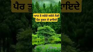 ਘਾਹ ਤੇ ਸਵੇਰੇ ਸਵੇਰੇ ਨੰਗੇ ਪੈਰ ਤੁਰਨ ਦੇ ਫਾਇਦੇ