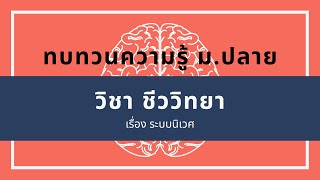 [ชีววิทยา] ทบทวนความรู้ ม.ปลาย เรื่อง ระบบนิเวศ