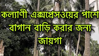 V-136🔴 কল্যাণী এক্সপ্রেসওয়ের পাশে বাগান বাড়ি করে স্বপ্ন পূরণ করুন / land sell in kalayani expy