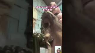 প্রায় 2 month পর কথা দুজনের #reels #love #tiktok #fouji #foujan