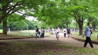 のんびり散歩　お出かけ日和　人出が戻る　代々木公園　2020/6/20 40