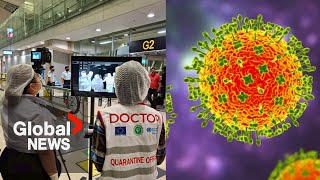 Concerned about Nipah virus? What to know about the infection, how doctors rate risk in Canada