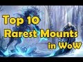 Top 10 Rarest Mounts in WoW Top 10 Rarest Mounts in WoW
