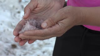 Pinkish 'watermelon snow' appears in Utah mountains