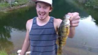 Big Perch in Pineview