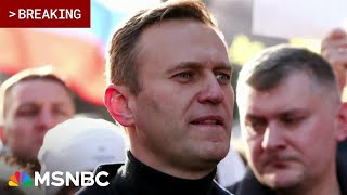 Jailed Russian opposition leader Alexei Navalny dies in prison