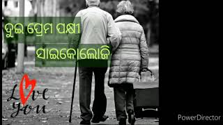 ଦୁଇ ପ୍ରେମ ପକ୍ଷୀ |ସାଇକୋଲୋଜି |#lovestory|#oldcouple