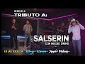 SALSERIN 🎺TRIBUTO 🎹 EXITOS REMEZCLADOS EN  VIDEOS MIX